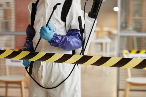 Professional Odor Removal technician working in Helen, GA